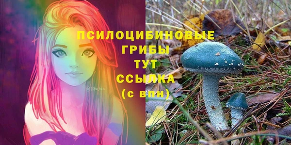 прущие грибы Алзамай