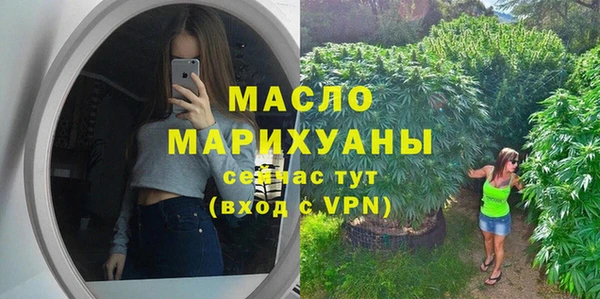 дмт Переславль-Залесский