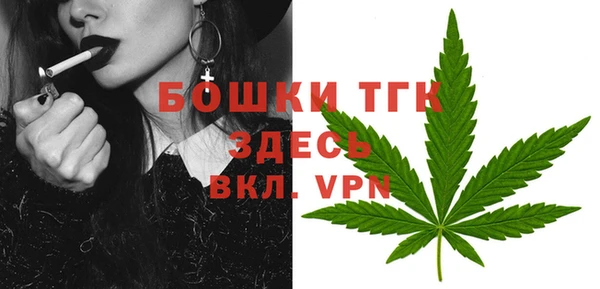 дмт Переславль-Залесский