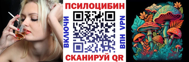 купить   Невинномысск  гидра ссылки  Галлюциногенные грибы Magic Shrooms 