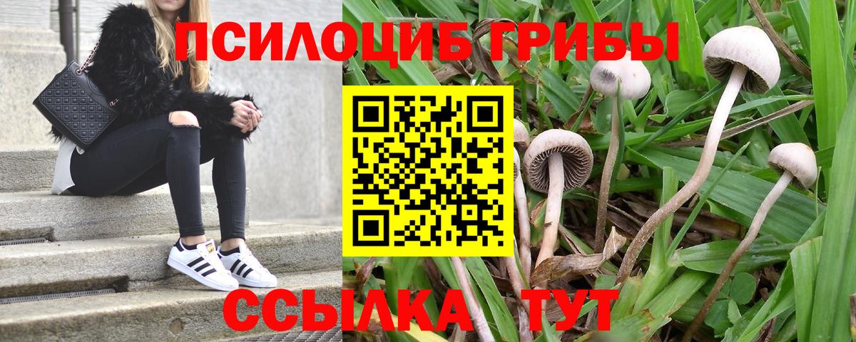 Галлюциногенные грибы Cubensis  Вход с VPN  Галлюциногенные грибы мухоморы  Невинномысск 