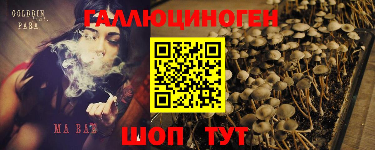 Галлюциногенные грибы Cubensis Невинномысск