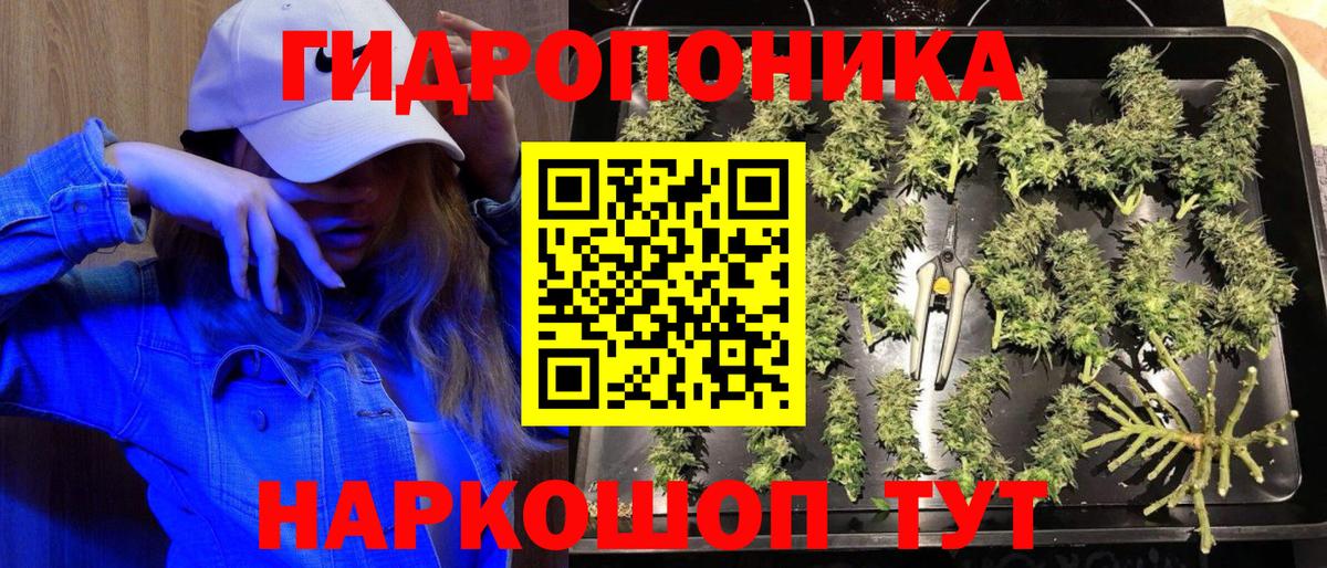 Невинномысск  МАРИХУАНА планчик  Бошки марихуана марихуана  Канабис сатива  Вход с VPN 